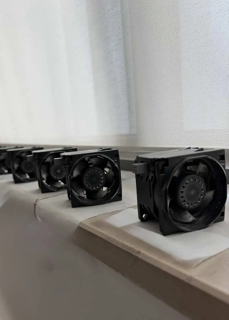 Ventole server hot-swap con depositi di polvere su pale e motore